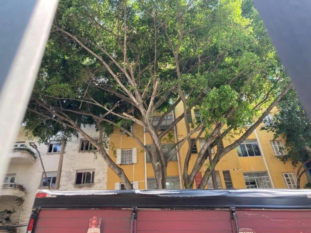 Alice Thome São Paulo Exterior foto